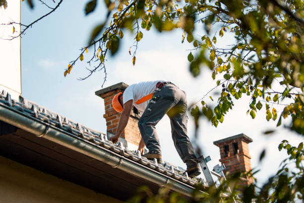 Roof Gutter Cleaning in East Harwich, MA